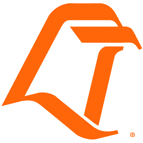 Bowling Green Falcons 1980-2005 Primary Logo diy iron on heat transfer